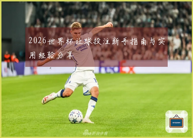 2026世界杯让球投注新手指南与实用经验分享