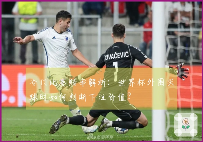 冷门比赛赔率解析：世界杯外围买球时如何判断下注价值？
