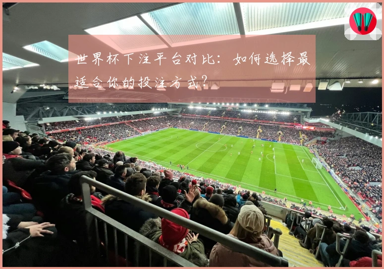 世界杯下注平台对比：如何选择最适合你的投注方式？