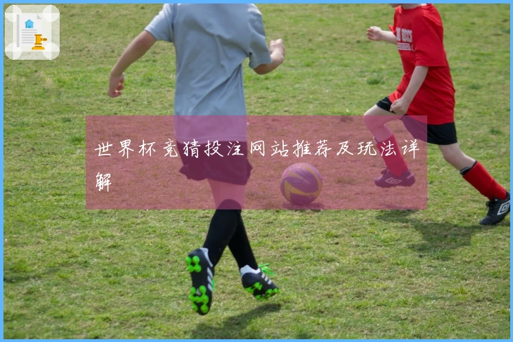 世界杯竞猜投注网站推荐及玩法详解