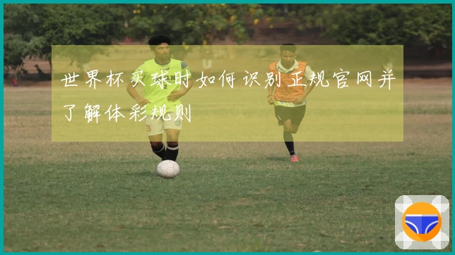 世界杯买球时如何识别正规官网并了解体彩规则
