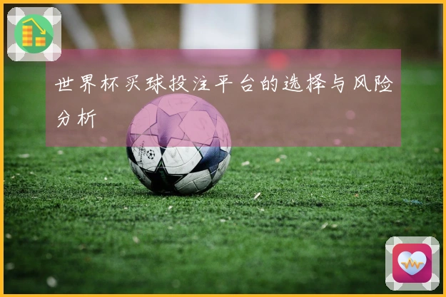 世界杯买球投注平台的选择与风险分析