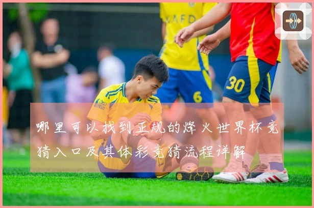 哪里可以找到正规的烽火世界杯竞猜入口及其体彩竞猜流程详解