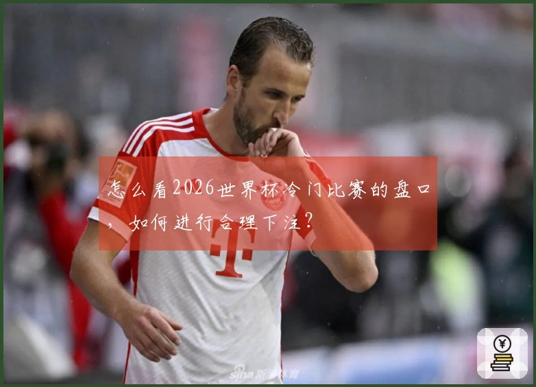 怎么看2026世界杯冷门比赛的盘口，如何进行合理下注？