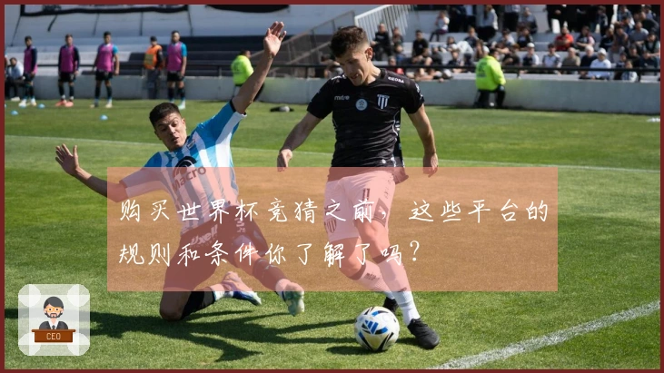 购买世界杯竞猜之前，这些平台的规则和条件你了解了吗？