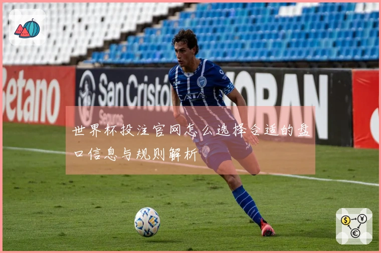 世界杯投注官网怎么选择合适的盘口信息与规则解析