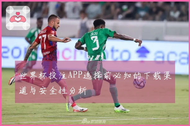 世界杯投注APP选择前必知的下载渠道与安全性分析