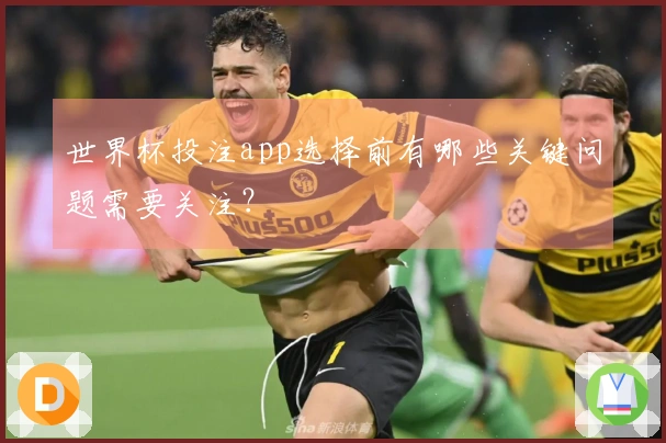 世界杯投注app选择前有哪些关键问题需要关注？