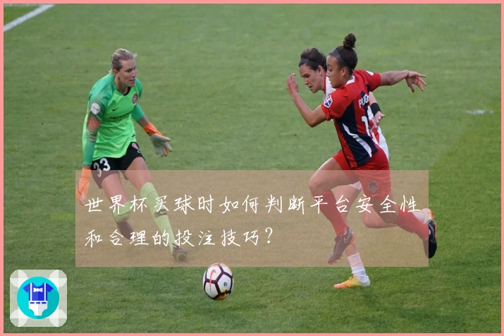 世界杯买球时如何判断平台安全性和合理的投注技巧？