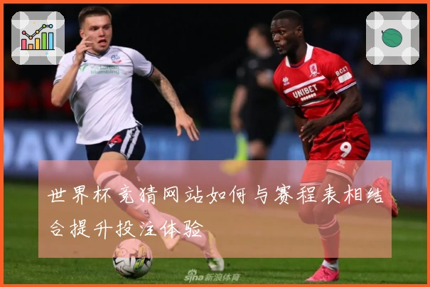 世界杯竞猜网站如何与赛程表相结合提升投注体验