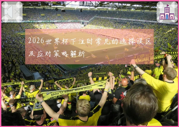 2026世界杯下注时常见的选择误区及应对策略解析
