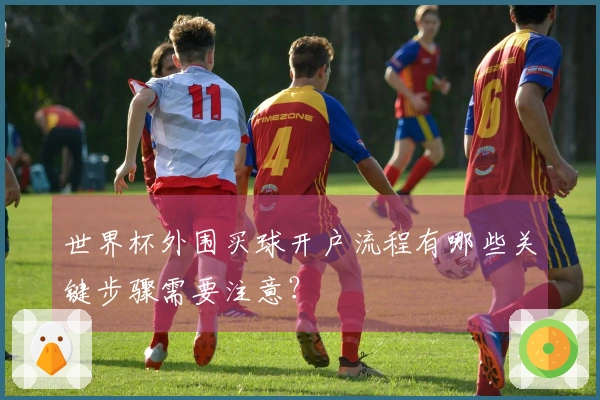 世界杯外围买球开户流程有哪些关键步骤需要注意？