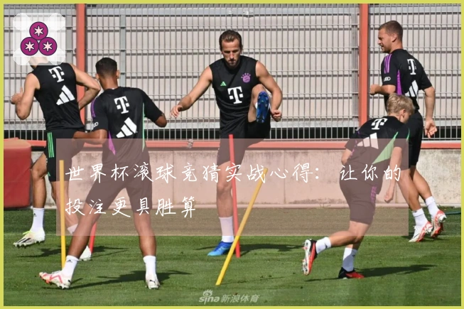 世界杯滚球竞猜实战心得：让你的投注更具胜算