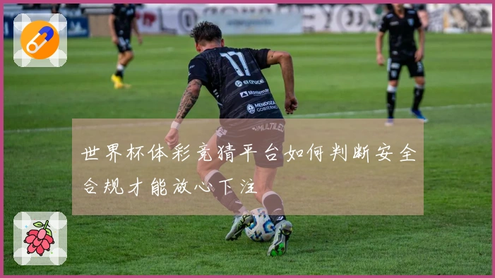 世界杯体彩竞猜平台如何判断安全合规才能放心下注