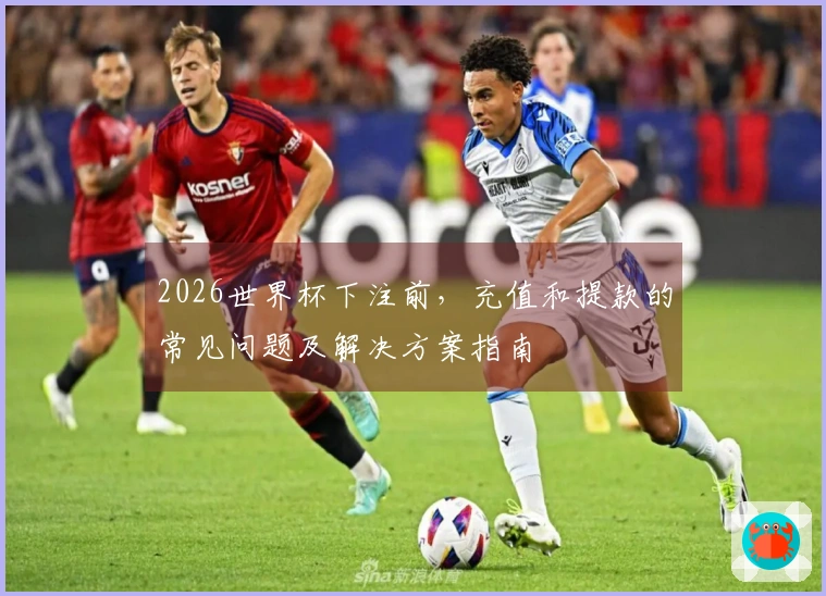 2026世界杯下注前，充值和提款的常见问题及解决方案指南