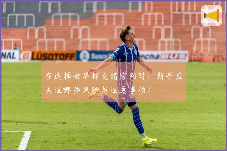 在选择世界杯竞猜官网时，新手应关注哪些风险与注意事项？