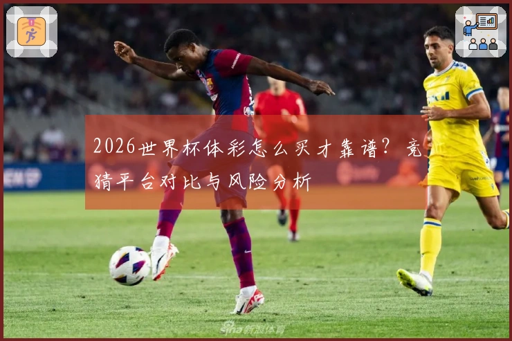2026世界杯体彩怎么买才靠谱？竞猜平台对比与风险分析