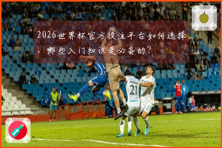 2026世界杯官方投注平台如何选择，哪些入门知识是必备的？