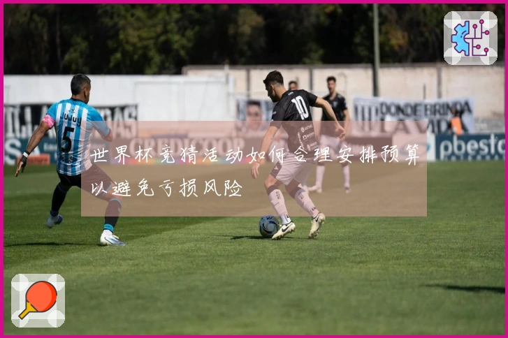 世界杯竞猜活动如何合理安排预算以避免亏损风险