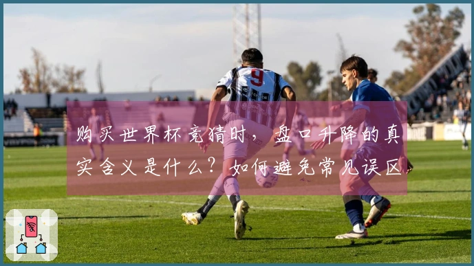 购买世界杯竞猜时，盘口升降的真实含义是什么？如何避免常见误区？