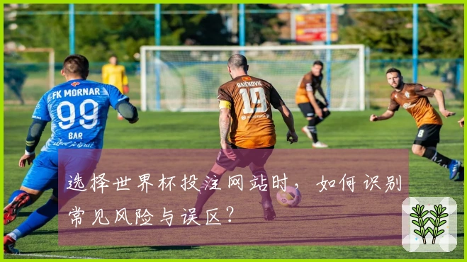 选择世界杯投注网站时，如何识别常见风险与误区？
