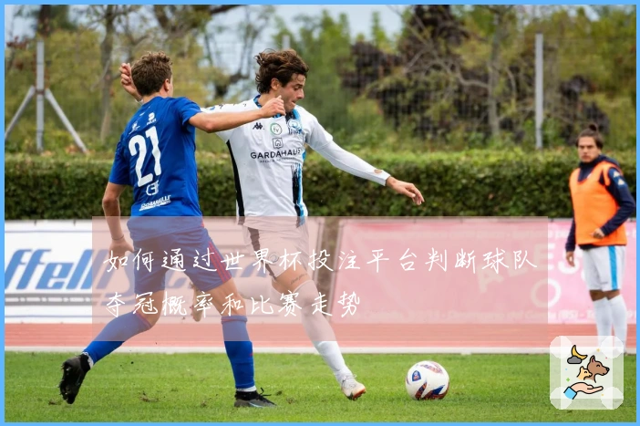 如何通过世界杯投注平台判断球队夺冠概率和比赛走势