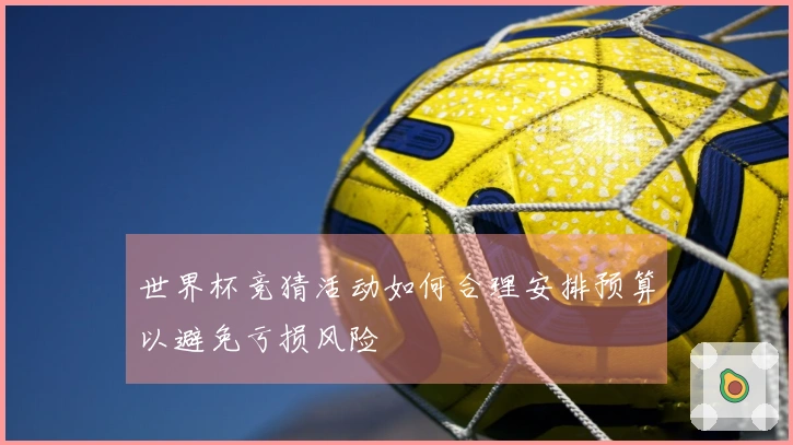 世界杯竞猜活动如何合理安排预算以避免亏损风险