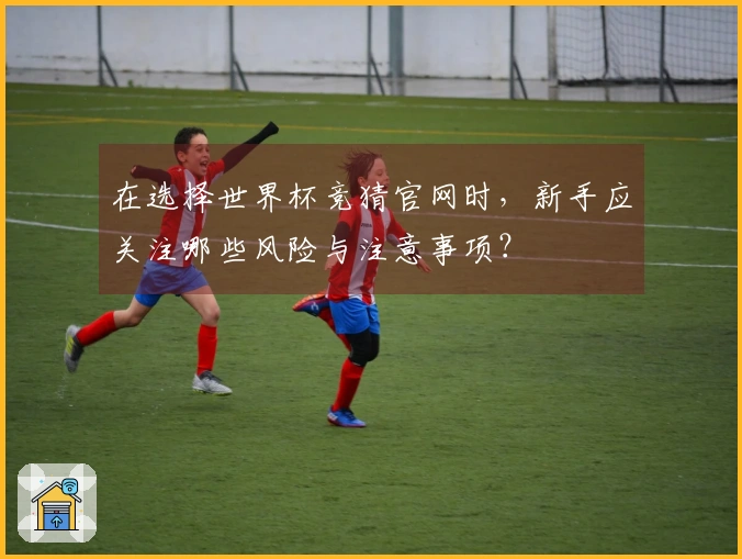 在选择世界杯竞猜官网时，新手应关注哪些风险与注意事项？
