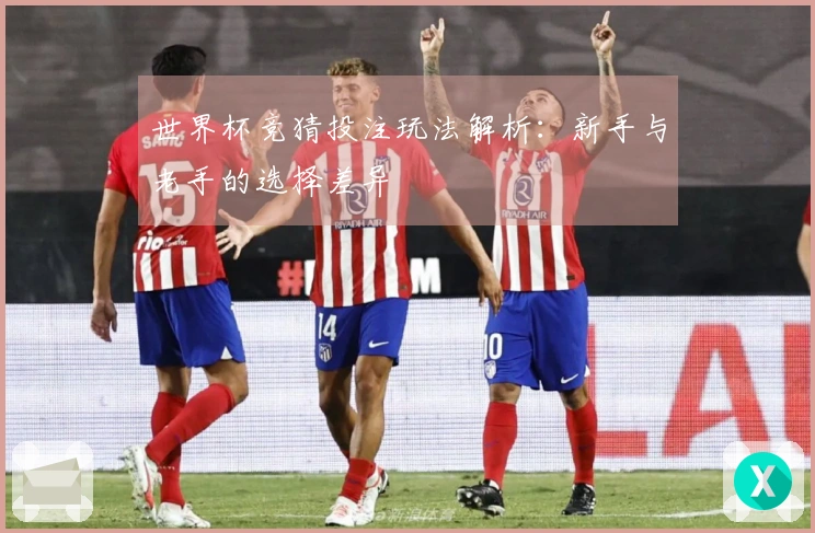 世界杯竞猜投注玩法解析：新手与老手的选择差异