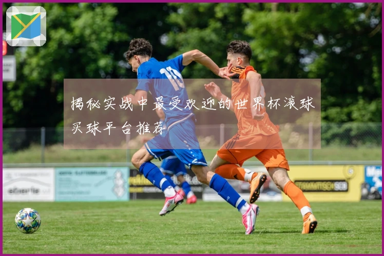揭秘实战中最受欢迎的世界杯滚球买球平台推荐