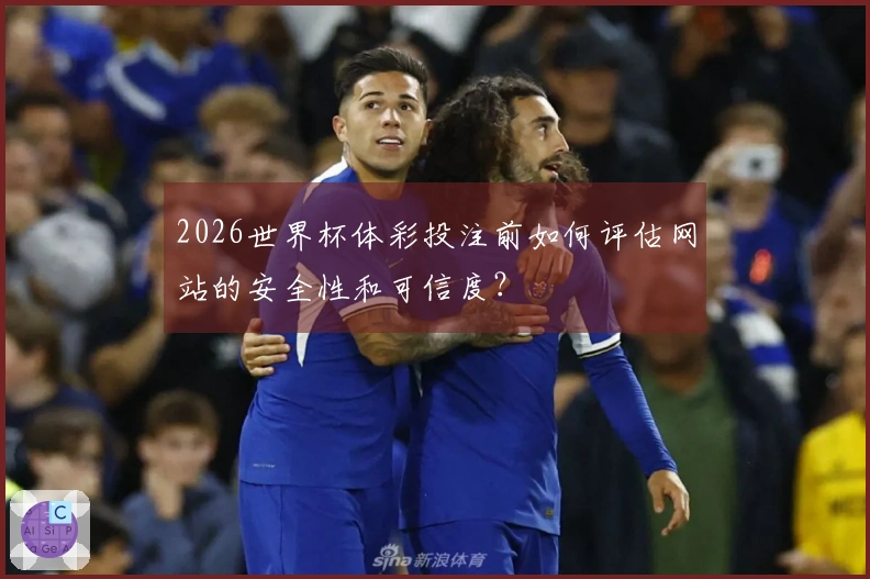 2026世界杯体彩投注前如何评估网站的安全性和可信度？