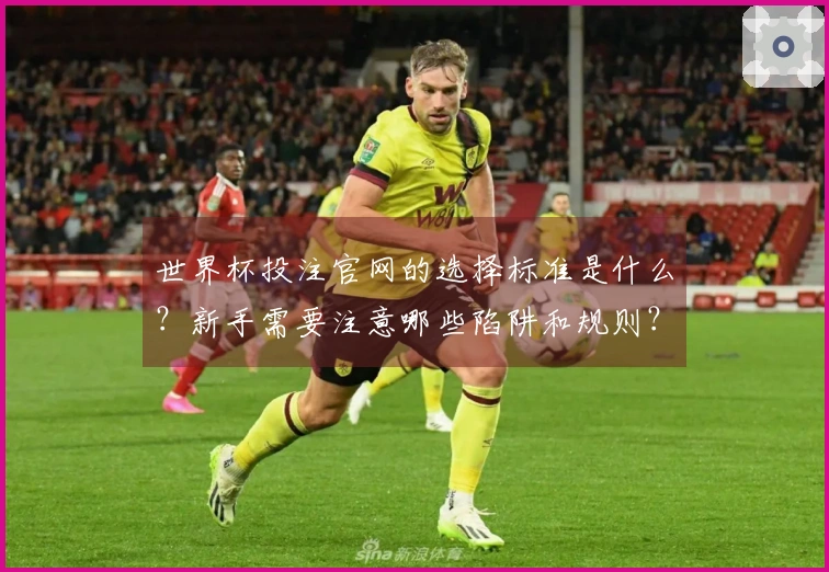 世界杯投注官网的选择标准是什么？新手需要注意哪些陷阱和规则？