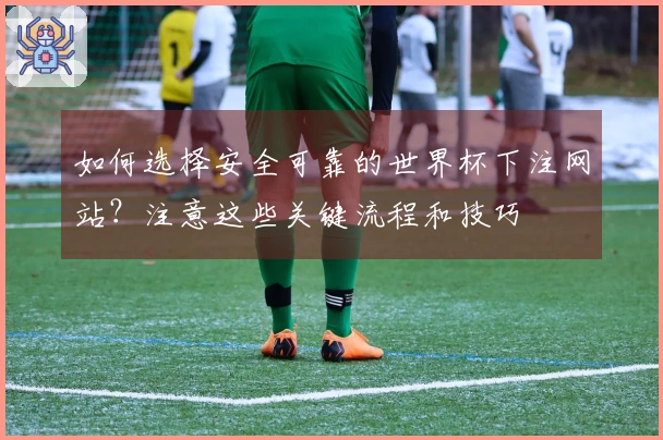 如何选择安全可靠的世界杯下注网站?注意这些关键流程和技巧